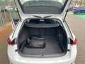 Skoda Octavia Combi 2.0 TDI DSG STYLE +AHK +LED +HuD +NAVI +TEM Weiß - thumbnail 15
