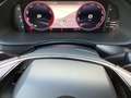 Skoda Kamiq Monte Carlo 1.0 TSI DSG Panoramadach, Navi Plateado - thumbnail 12