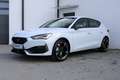CUPRA Leon TRIBE 1.5 TSI 150 PS ACT mit vielen Extras! Weiß - thumbnail 2