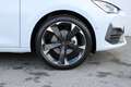 CUPRA Leon TRIBE 1.5 TSI 150 PS ACT mit vielen Extras! Weiß - thumbnail 10