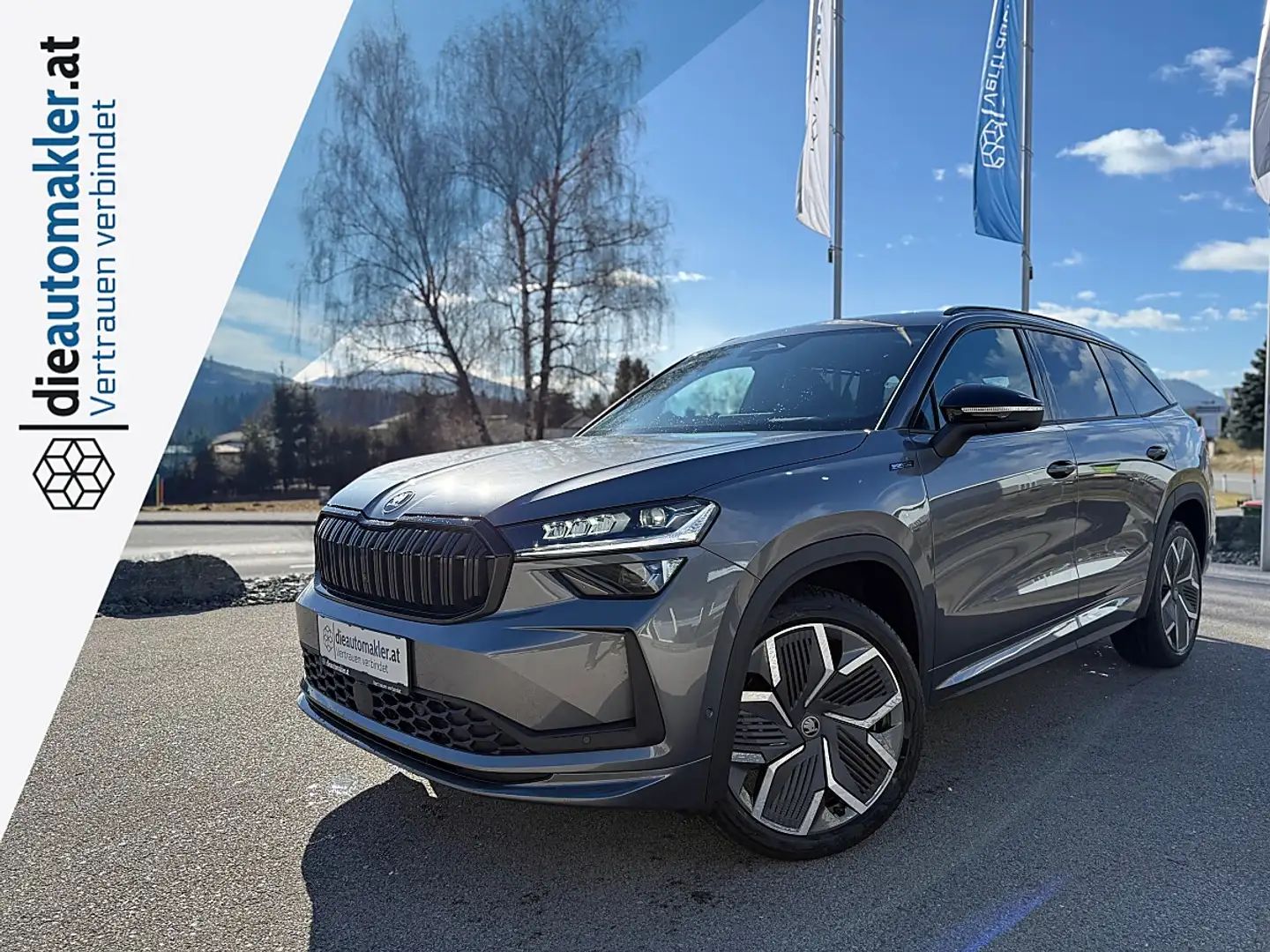 Skoda Kodiaq *VERKAUFT* Grau - 1