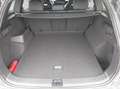 Volkswagen Tayron Sport TDI DSG Grau - thumbnail 17