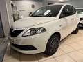 Lancia Ypsilon Ypsilon III  1.2 Silver ecochic Gpl 69cv Bianco - thumbnail 6