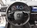Skoda Kamiq 1.0 TSI SC DSG Weiß - thumbnail 12