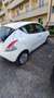 Lancia Ypsilon 1.2 8v Gold ecochic Gpl 59cv Білий - thumbnail 13