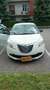 Lancia Ypsilon 1.2 8v Gold ecochic Gpl 59cv Білий - thumbnail 6