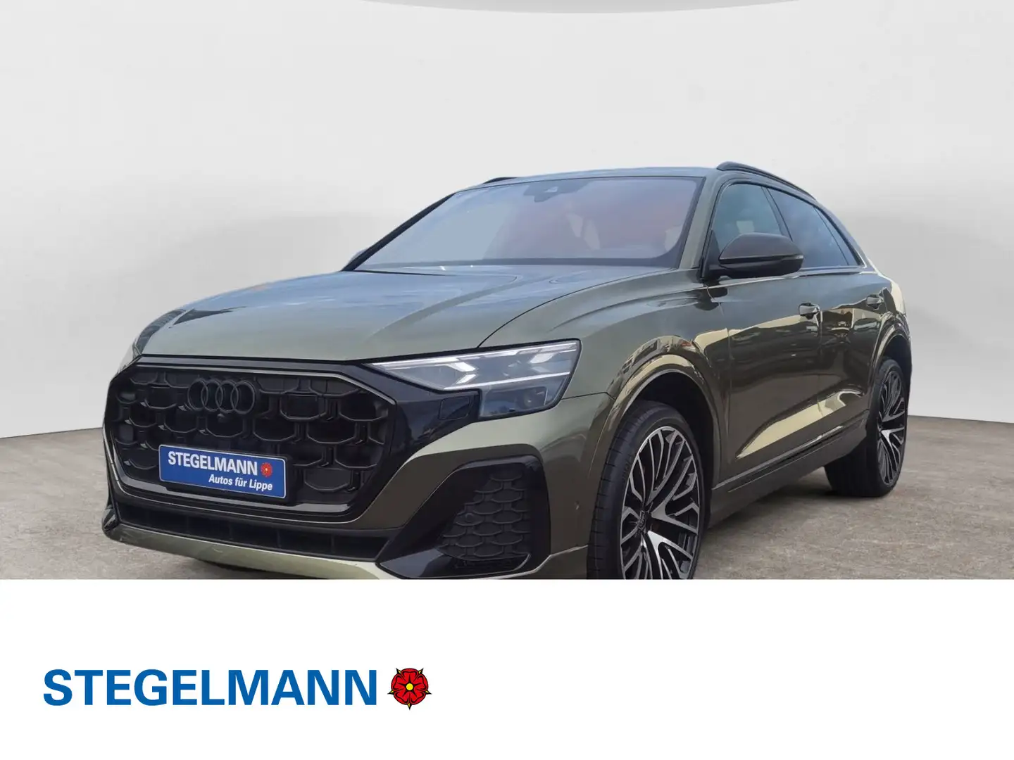 Audi Q8 SUV 50 TDI quattro tiptronic INDIVIDUAL OAK L Groen - 1