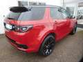 Land Rover Discovery Sport Mark VI P300e PHEV AWD BVA R-Dynamic HSE Rot - thumbnail 2