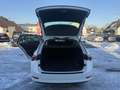 Skoda Octavia Combi 2,0 TDI Style DSG 1 Besitz Weiß - thumbnail 13