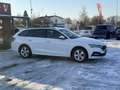 Skoda Octavia Combi 2,0 TDI Style DSG 1 Besitz Weiß - thumbnail 4