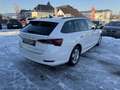 Skoda Octavia Combi 2,0 TDI Style DSG 1 Besitz Weiß - thumbnail 5