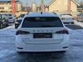 Skoda Octavia Combi 2,0 TDI Style DSG 1 Besitz Weiß - thumbnail 6