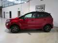 Ford EcoSport PDC,Lenk+Sitzhzg,Navi,CarPlay,ST-Line Rot - thumbnail 24
