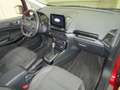 Ford EcoSport PDC,Lenk+Sitzhzg,Navi,CarPlay,ST-Line Rot - thumbnail 9