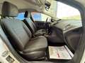 Ford Fiesta Plus 1.4 5 porte Bz.- GPL Bianco - thumbnail 6
