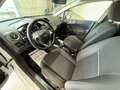 Ford Fiesta Plus 1.4 5 porte Bz.- GPL Bianco - thumbnail 15