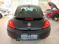 Volkswagen Beetle Lim. Design Bi-Xenon PDC Shz TÜV 03/27 Noir - thumbnail 6