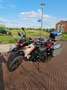 Benelli TRK 702 BENELLI TRK 702X DUNE SEA 2023 | 3780KM | KOFFERS Beige - thumbnail 7