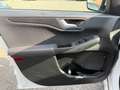 Ford Kuga 2.0 EcoBlue Hybrid 150 CV 2WD ST-Line Bianco - thumbnail 6