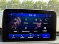 Ford Kuga 2.0 EcoBlue Hybrid 150 CV 2WD ST-Line Bianco - thumbnail 15