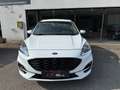 Ford Kuga 2.0 EcoBlue Hybrid 150 CV 2WD ST-Line Bianco - thumbnail 2