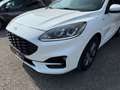 Ford Kuga 2.0 EcoBlue Hybrid 150 CV 2WD ST-Line Bianco - thumbnail 4