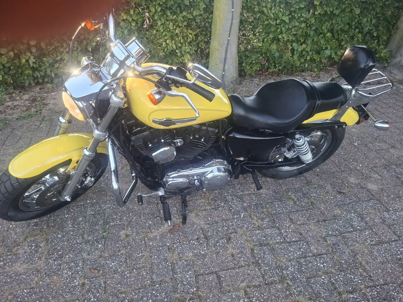 Harley-Davidson Sportster 1200