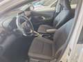 Toyota Yaris IV 2020 1.5h Business Bianco - thumbnail 5