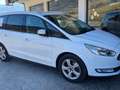 Ford Galaxy Galaxy 2.0 ecoboost Titanium Business s Wit - thumbnail 2