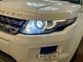 Land Rover Range Rover Evoque 5p 2.2 td4 Prestige 150cv NAVI PELLE XENO STUPENDO Blanc - thumbnail 16