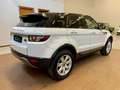 Land Rover Range Rover Evoque 5p 2.2 td4 Prestige 150cv NAVI PELLE XENO STUPENDO Weiß - thumbnail 5