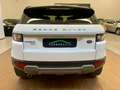 Land Rover Range Rover Evoque 5p 2.2 td4 Prestige 150cv NAVI PELLE XENO STUPENDO Weiß - thumbnail 4