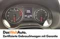 Audi Q2 40 TFSI quattro intense Grün - thumbnail 9