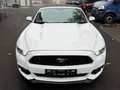 Ford Mustang ~AUTOMATIK~RFK~XENON Bílá - thumbnail 2
