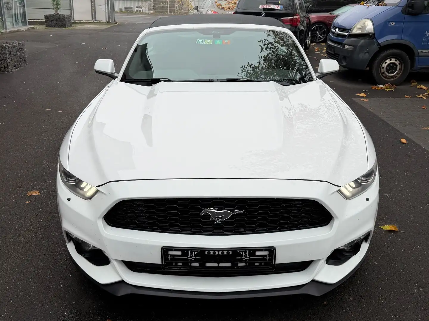 Ford Mustang ~AUTOMATIK~RFK~XENON Bílá - 2