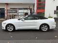 Ford Mustang ~AUTOMATIK~RFK~XENON Bílá - thumbnail 4