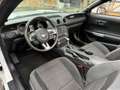 Ford Mustang ~AUTOMATIK~RFK~XENON Bílá - thumbnail 12