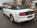 Ford Mustang ~AUTOMATIK~RFK~XENON Bílá - thumbnail 8
