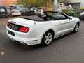 Ford Mustang ~AUTOMATIK~RFK~XENON Bílá - thumbnail 6