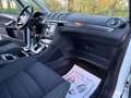 Ford Galaxy Business Plus 2,0 TDCi Aut.*GARANTIE PICKERL NEU* Weiß - thumbnail 19