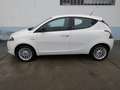 Lancia Ypsilon 1.2 69 CV 5p Gold Finanziato Bianco - thumbnail 3