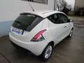 Lancia Ypsilon 1.2 69 CV 5p Gold Finanziato Bianco - thumbnail 15