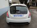 Lancia Ypsilon 1.2 69 CV 5p Gold Finanziato Bianco - thumbnail 11