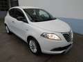 Lancia Ypsilon 1.2 69 CV 5p Gold Finanziato Bianco - thumbnail 1