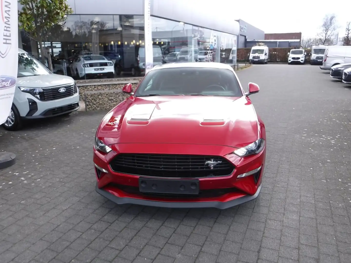 Ford Mustang Fastback Rouge - 2