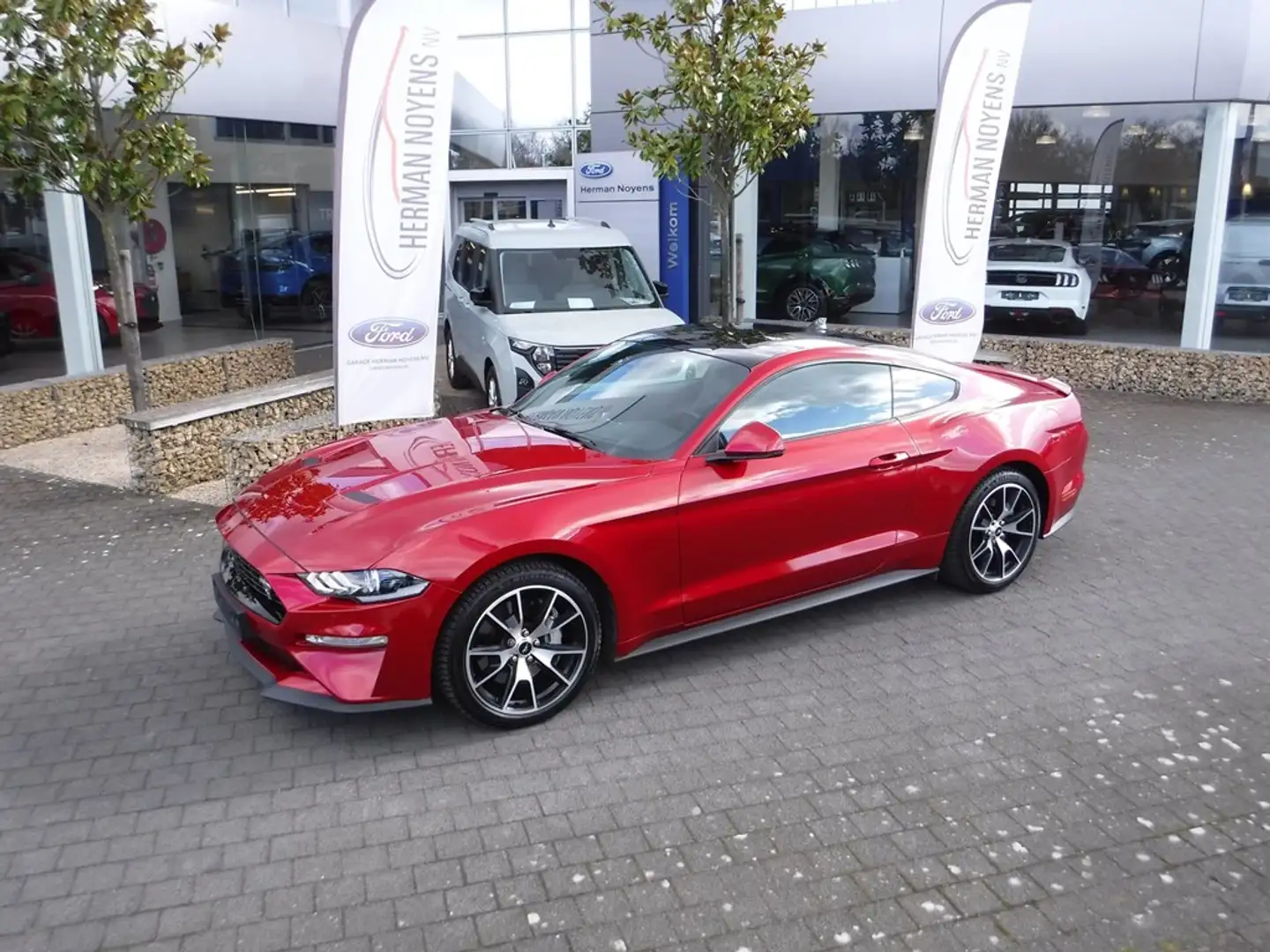 Ford Mustang Fastback Rouge - 1