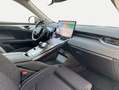 GWM WEY 05 WEY 05 Premium Grau - thumbnail 10
