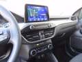 Ford Kuga 2.5 Plug In Hybrid 225 CV CVT 2WD Titanium Gris - thumbnail 15