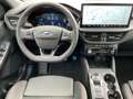 Ford Kuga 2.5 PHEV ST-Line X *ANGEBOTSPREIS SICHERN* Vert - thumbnail 16