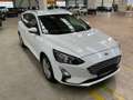 Ford Focus 1.5 EcoBlue Cool&Connect AHK LED Bianco - thumbnail 6